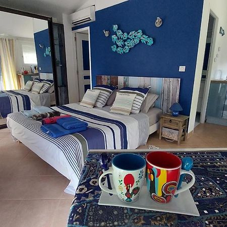 Bed and Breakfast Dans Un Jardin Bb Et Jacuzzi Mandelieu Esterno foto