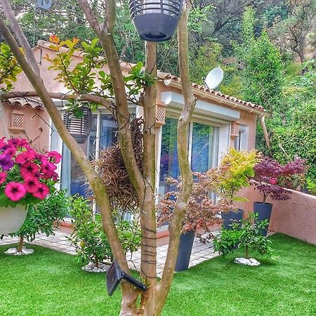 Bed and Breakfast Dans Un Jardin Bb Et Jacuzzi Mandelieu Esterno foto