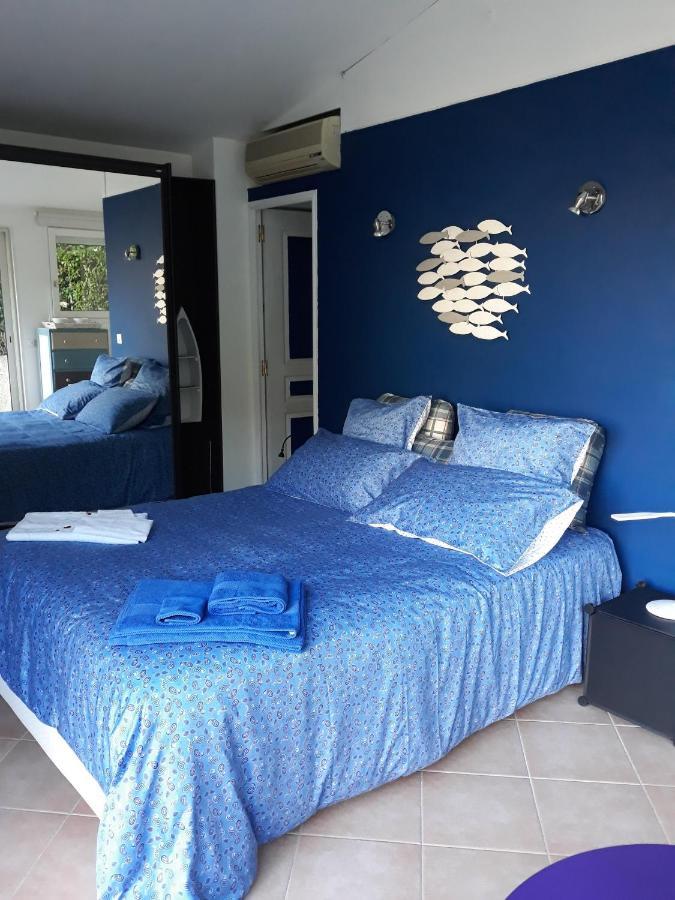 Bed and Breakfast Dans Un Jardin Bb Et Jacuzzi Mandelieu Esterno foto