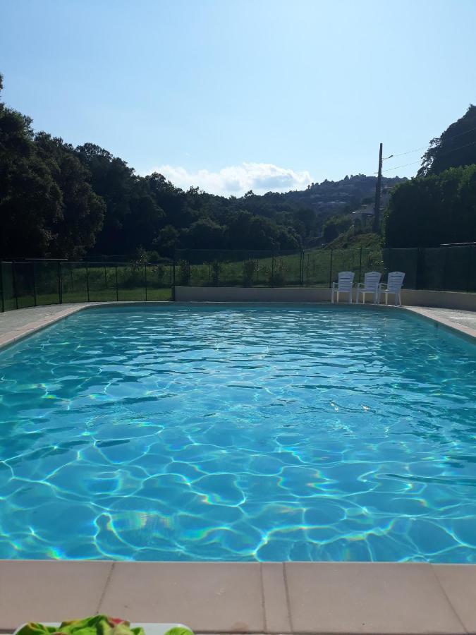 Bed and Breakfast Dans Un Jardin Bb Et Jacuzzi Mandelieu Esterno foto