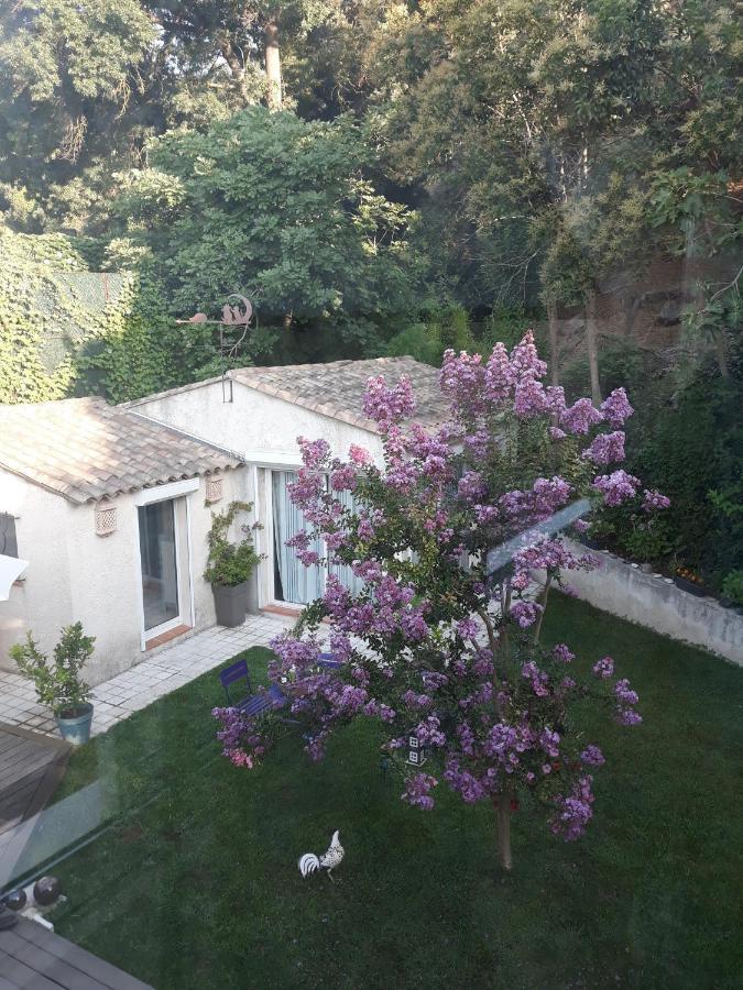 Bed and Breakfast Dans Un Jardin Bb Et Jacuzzi Mandelieu Esterno foto