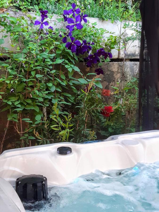 Bed and Breakfast Dans Un Jardin Bb Et Jacuzzi Mandelieu Esterno foto