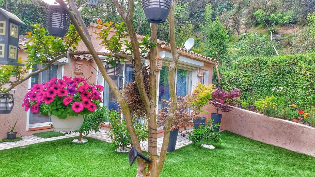 Bed and Breakfast Dans Un Jardin Bb Et Jacuzzi Mandelieu Esterno foto